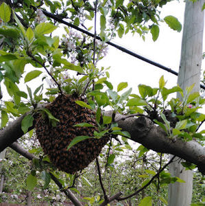 Meet your Posher, Marck